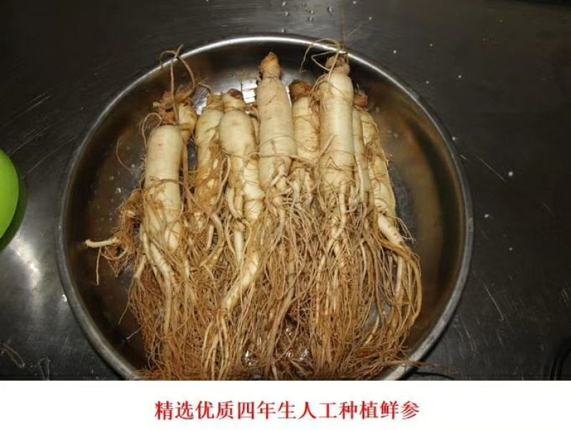 人参煎饼，五粮煎饼