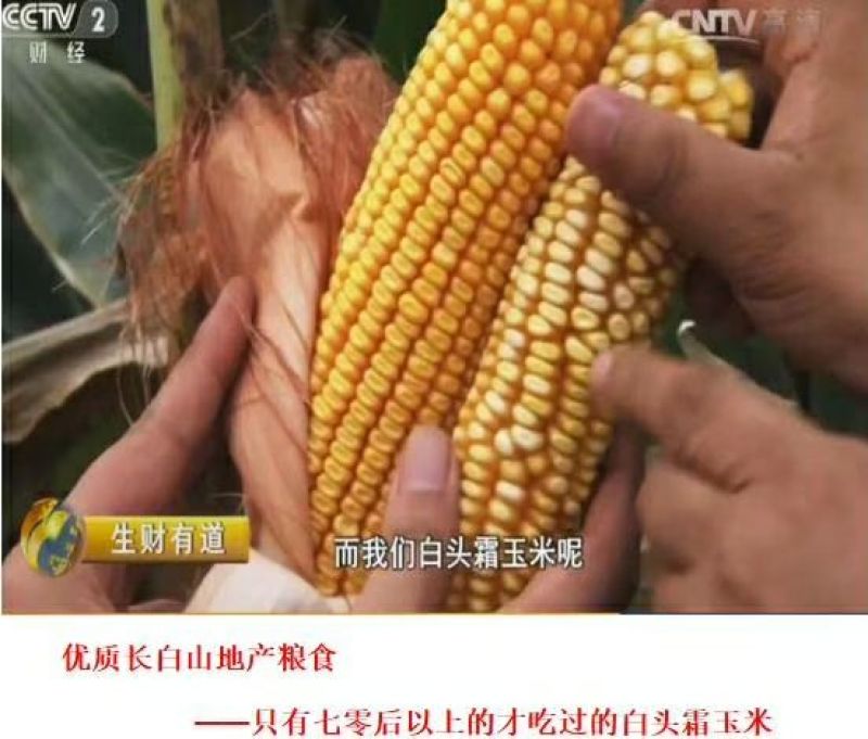 人参煎饼，五粮煎饼
