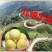 黄金奈李