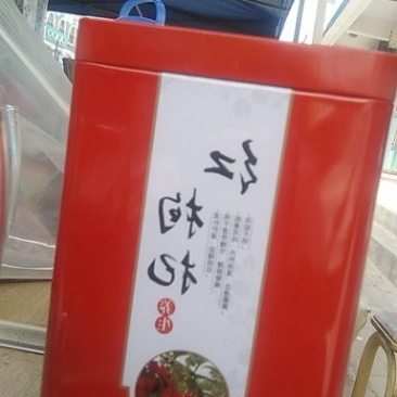 宁夏中宁枸杞子