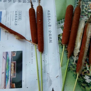 水腊主，有需要的老板联系我，长期供货