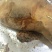 超级牛逼烟薯25@超级软超级甜蜜，糯糯的感觉回味无穷