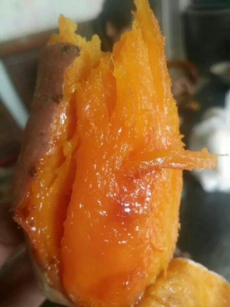 甜甜的，糯糯的烟薯25@需要的联系，烤地瓜的电商联系