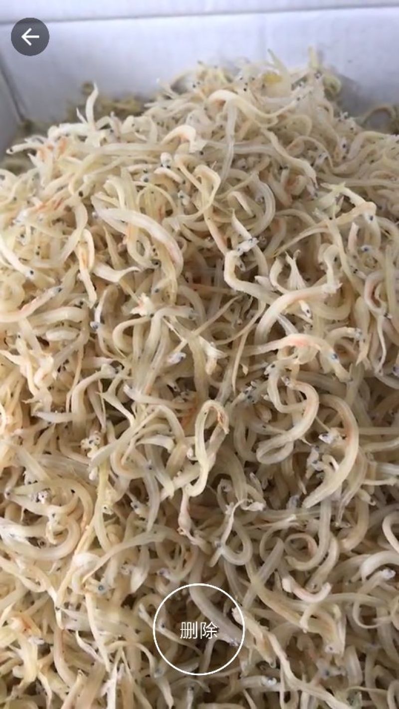 银鱼小银鱼冻鱼