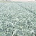 甘蓝产地货源充足种植面积广，供应全国各地，实力代办