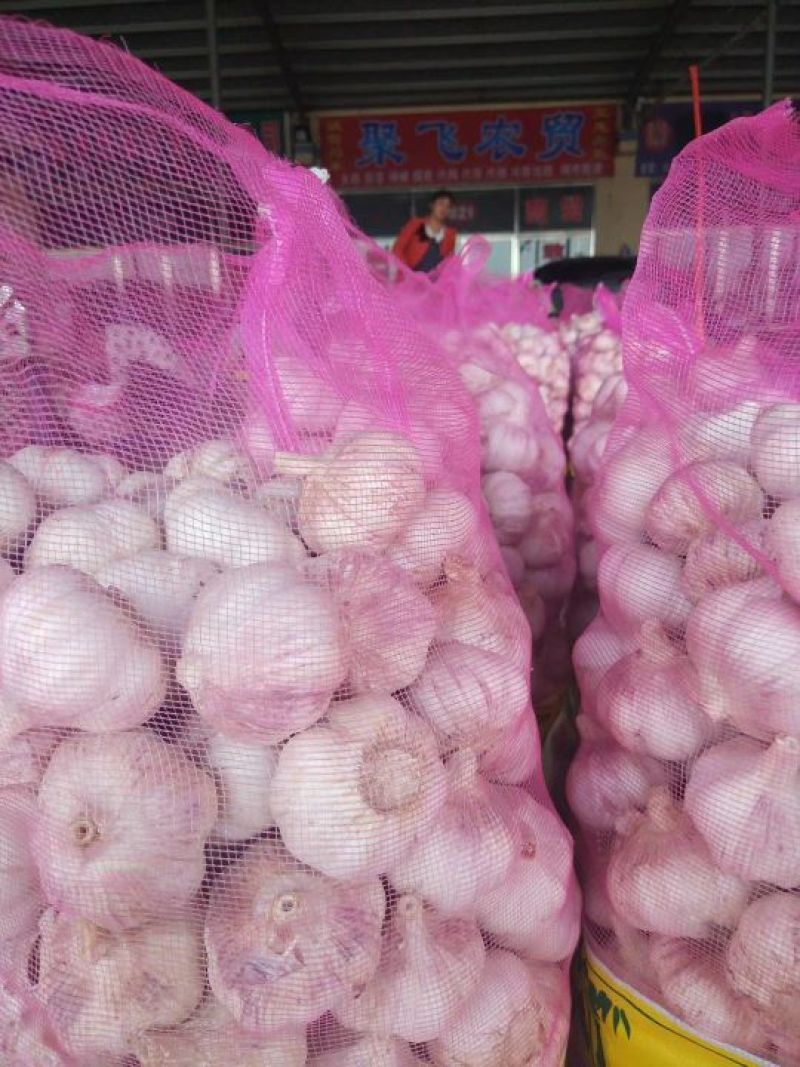蒜米红大蒜，个头大，皮包亮。电商供应。物流发往全国各地。
