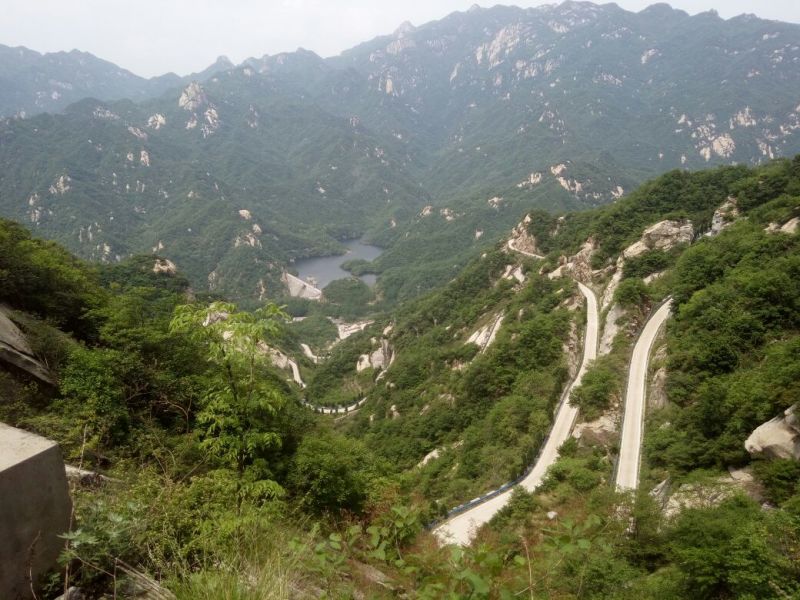 翻白草野生中药材鸡爪参鸡爪棵河南伏牛山产地直销
