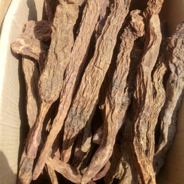 锁阳内蒙干货整支2斤起包邮