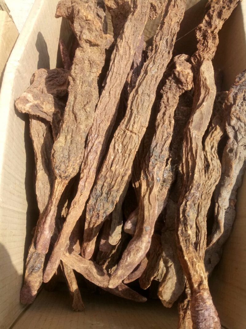 锁阳内蒙干货整支2斤起包邮