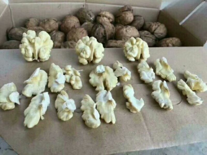 凉山新鲜核桃