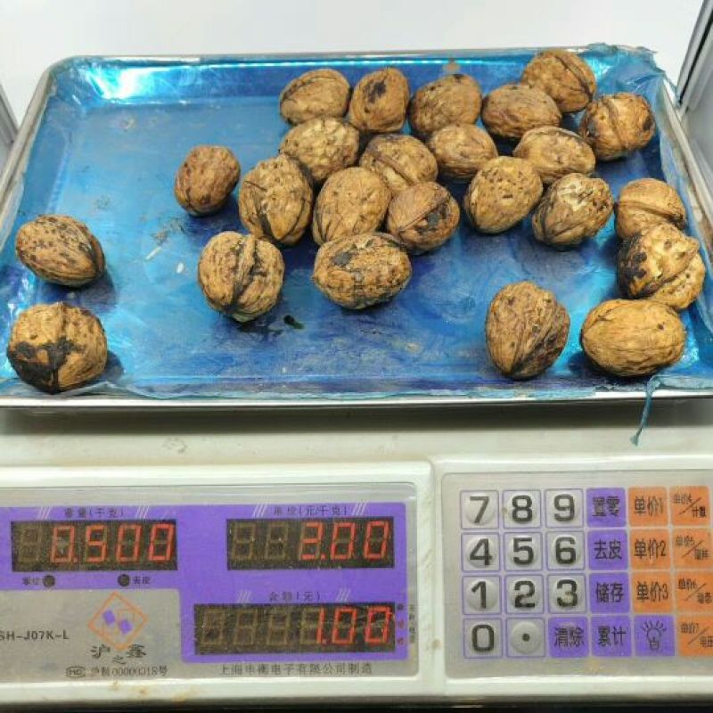 凉山新鲜核桃