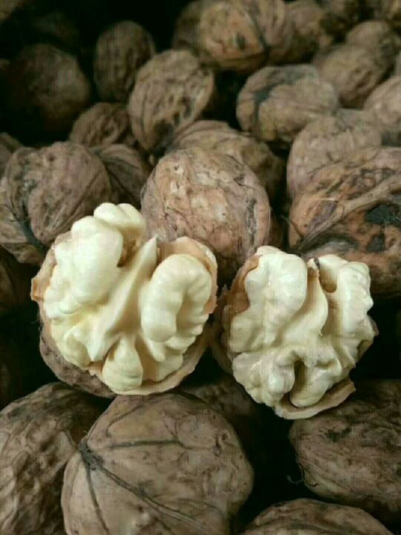 凉山新鲜核桃