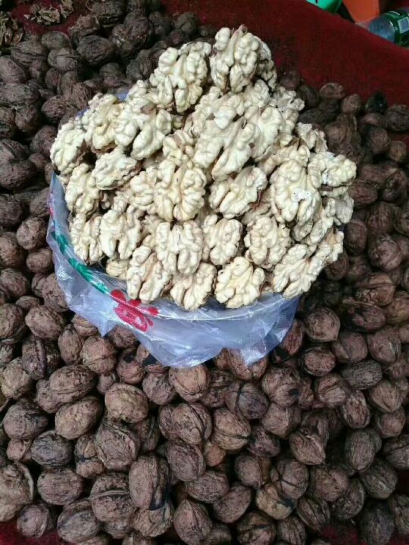 凉山新鲜核桃