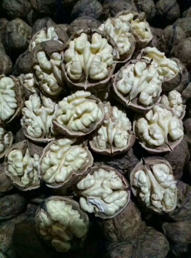 凉山新鲜核桃