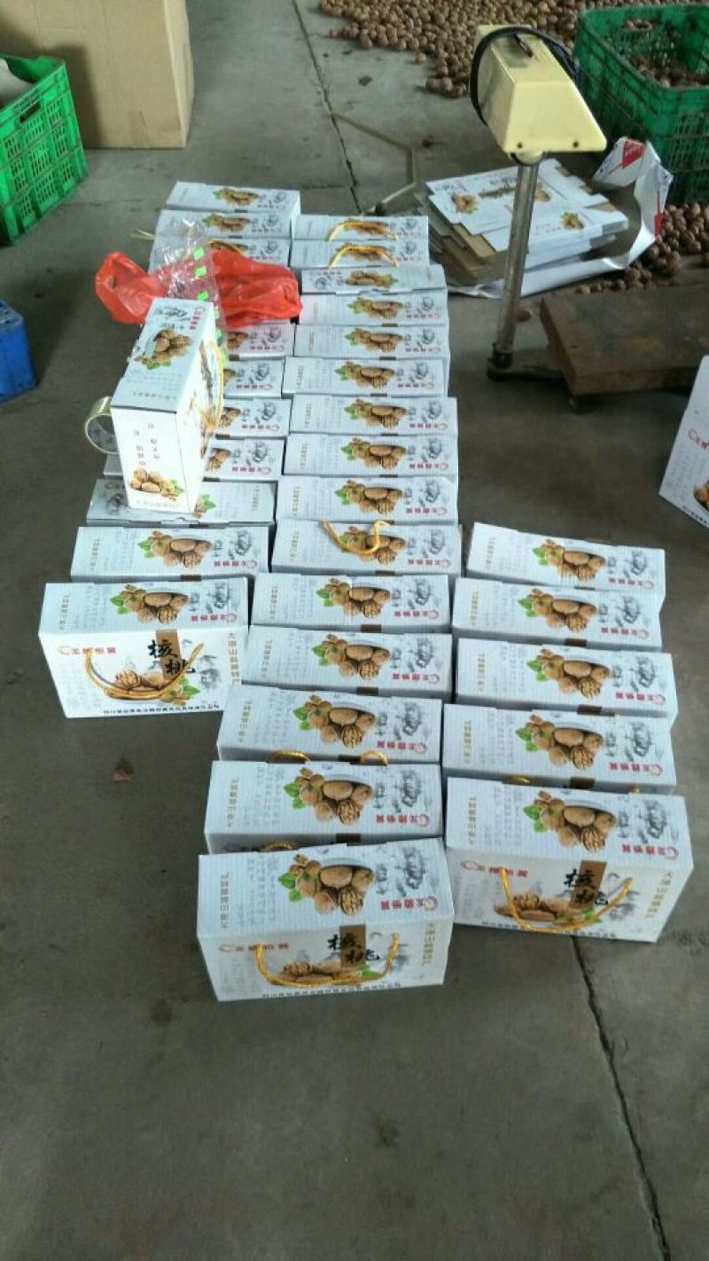 凉山新鲜核桃