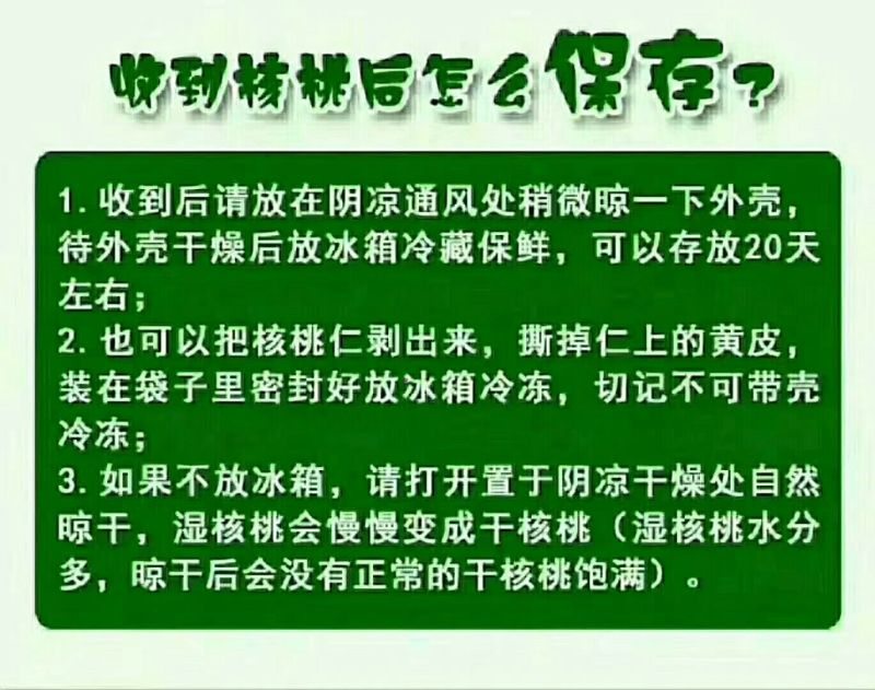 凉山新鲜核桃
