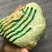 毛石
