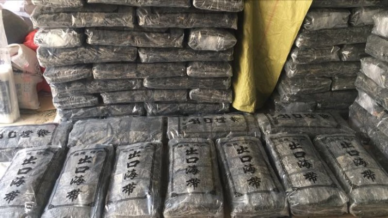 图）包物流供应精装海带王三两菜福建短板菜纯两片30公分