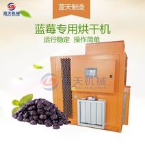 出售蓝天蓝莓专业烘干机空气能热泵芒果干烘干机