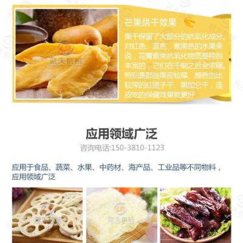 出售蓝天蓝莓专业烘干机空气能热泵芒果干烘干机