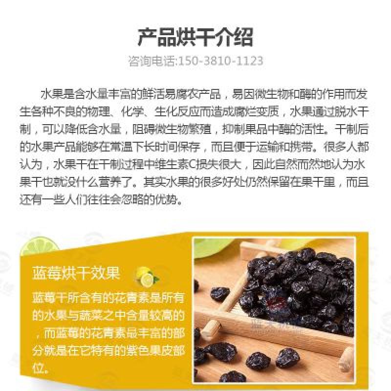 出售蓝天蓝莓专业烘干机空气能热泵芒果干烘干机
