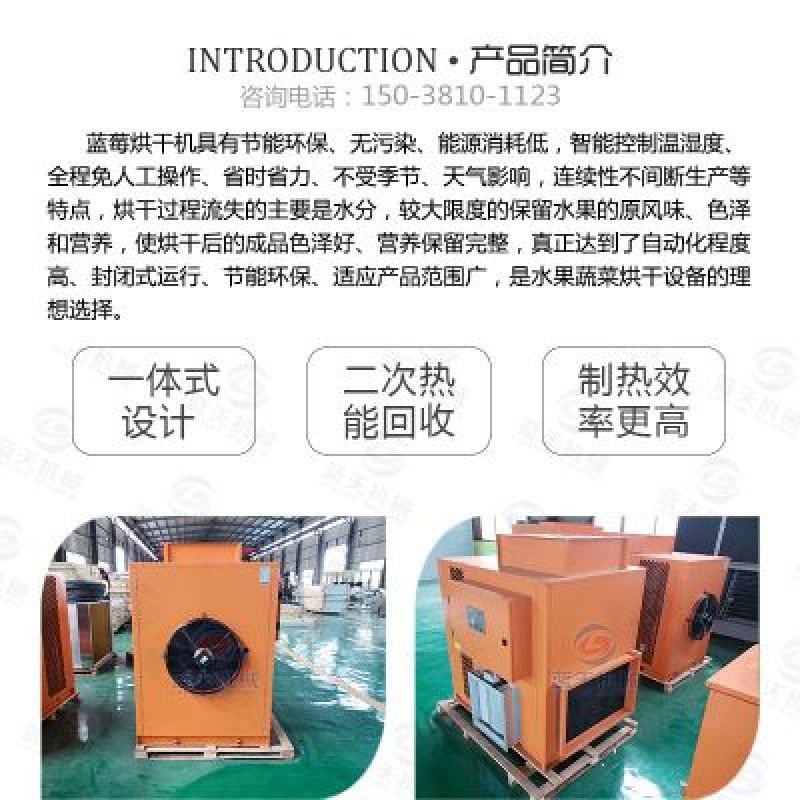 出售蓝天蓝莓专业烘干机空气能热泵芒果干烘干机