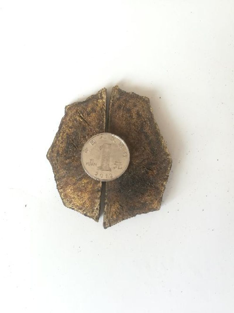 大黄药用大黄各种规格大黄片大黄丁大黄根包含量