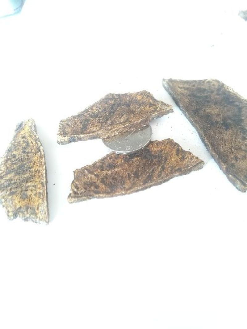 大黄药用大黄各种规格大黄片大黄丁大黄根包含量