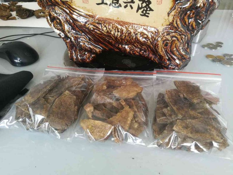 大黄药用大黄各种规格大黄片大黄丁大黄根包含量