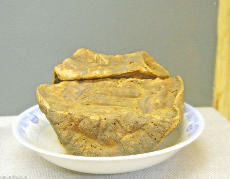 大黄药用大黄各种规格大黄片大黄丁大黄根包含量