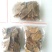 大黄药用大黄各种规格大黄片大黄丁大黄根包含量