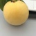 锦绣黄桃3~4两
