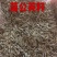 蒲公英种子