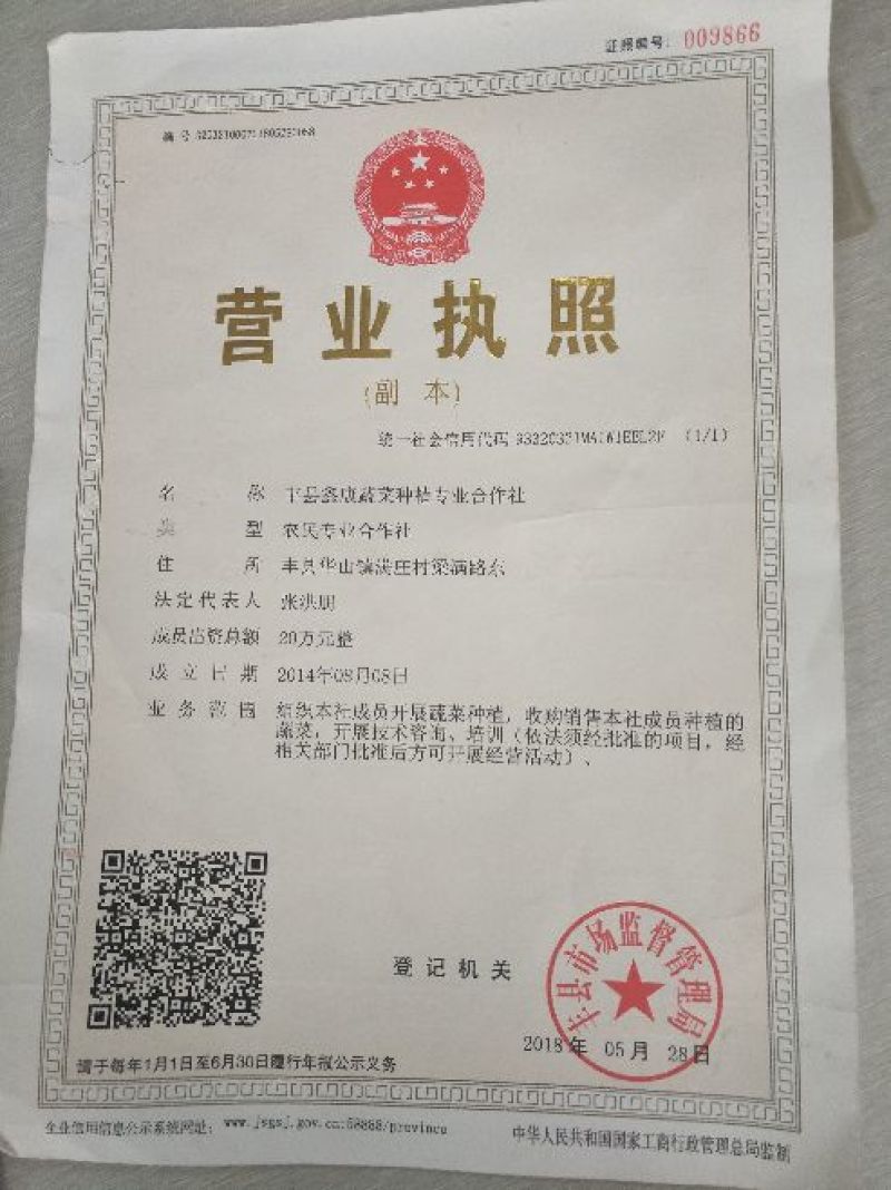 产地直销纯手工剥掰寒蒜苔蒜川蒜红根蒜苗子代发全国