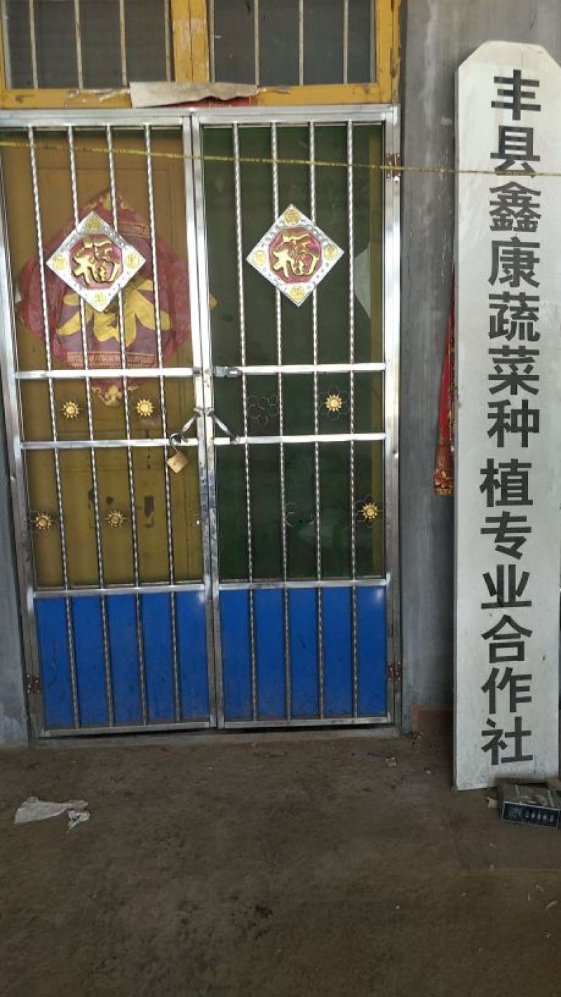 产地直销纯手工剥掰寒蒜苔蒜川蒜红根蒜苗子代发全国