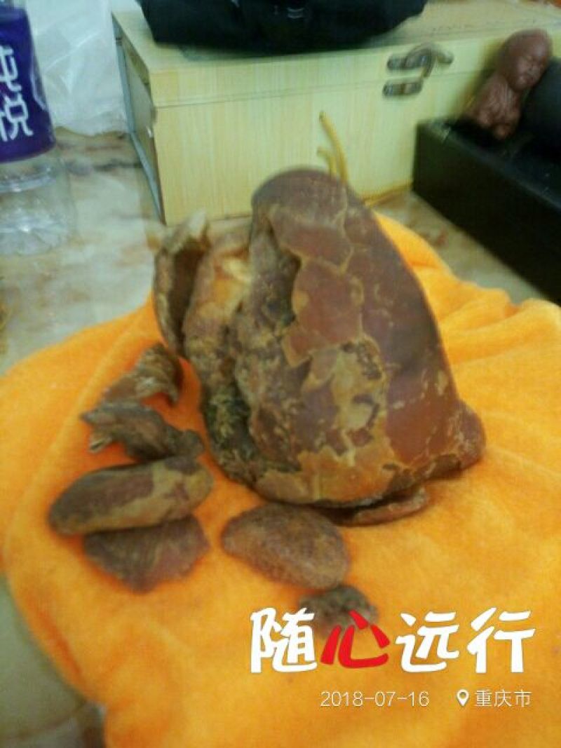 鸡宝