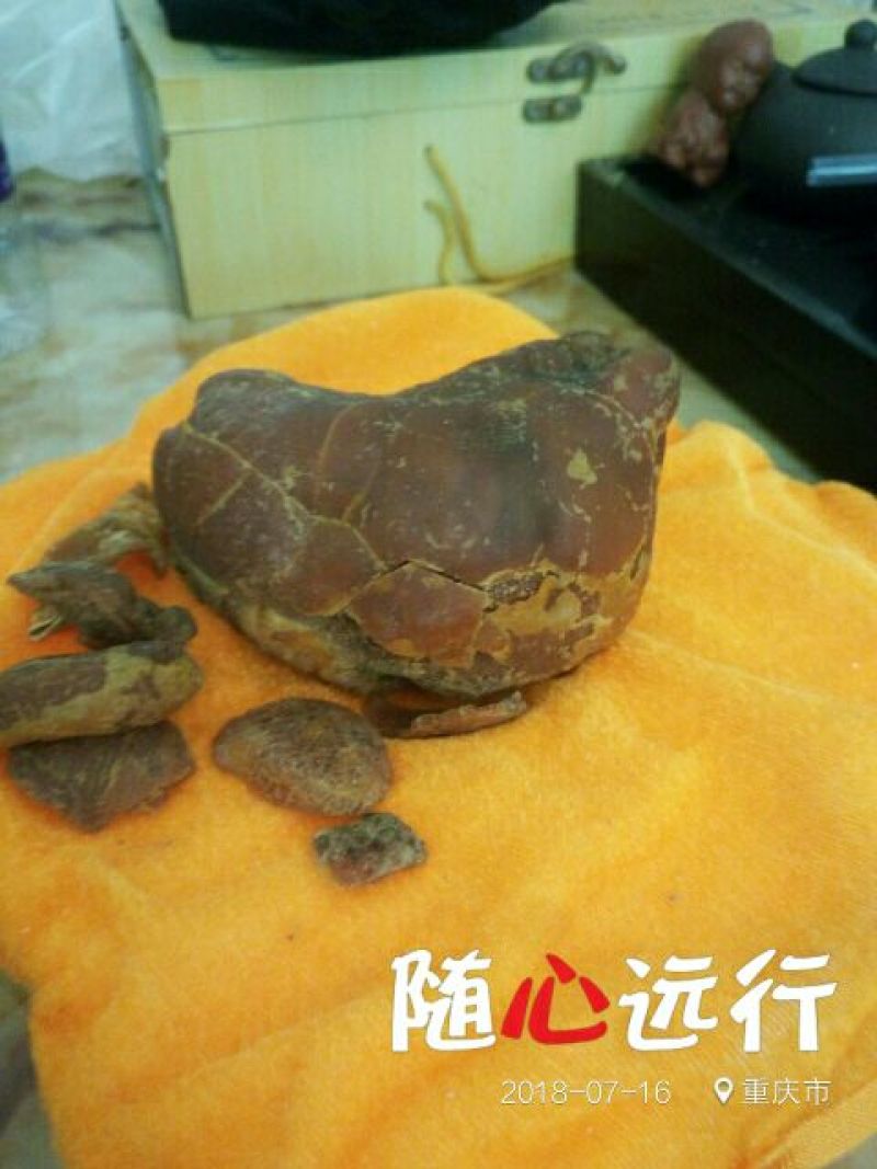 鸡宝