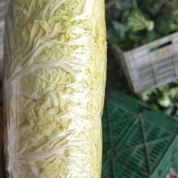 娃娃菜3~4两以上