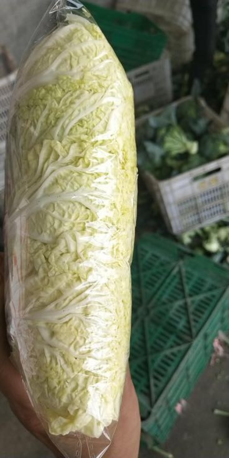 娃娃菜3~4两以上