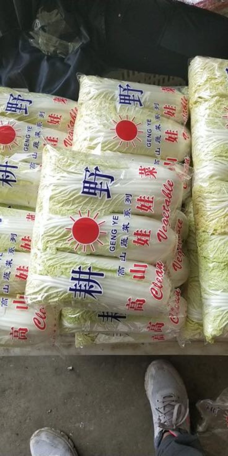 娃娃菜3~4两以上