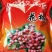 花椒苗种子，大红袍，獅子头，黄盖
