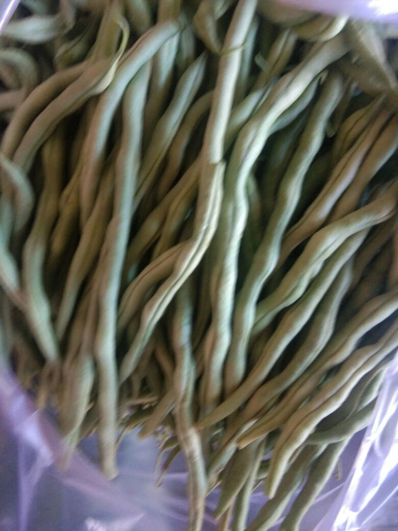 好豆角丝大量上市，干，绿，细，谁要联系我