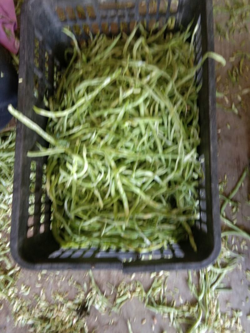 好豆角丝大量上市，干，绿，细，谁要联系我