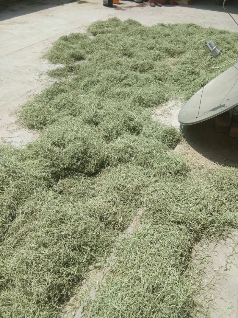 好豆角丝大量上市，干，绿，细，谁要联系我