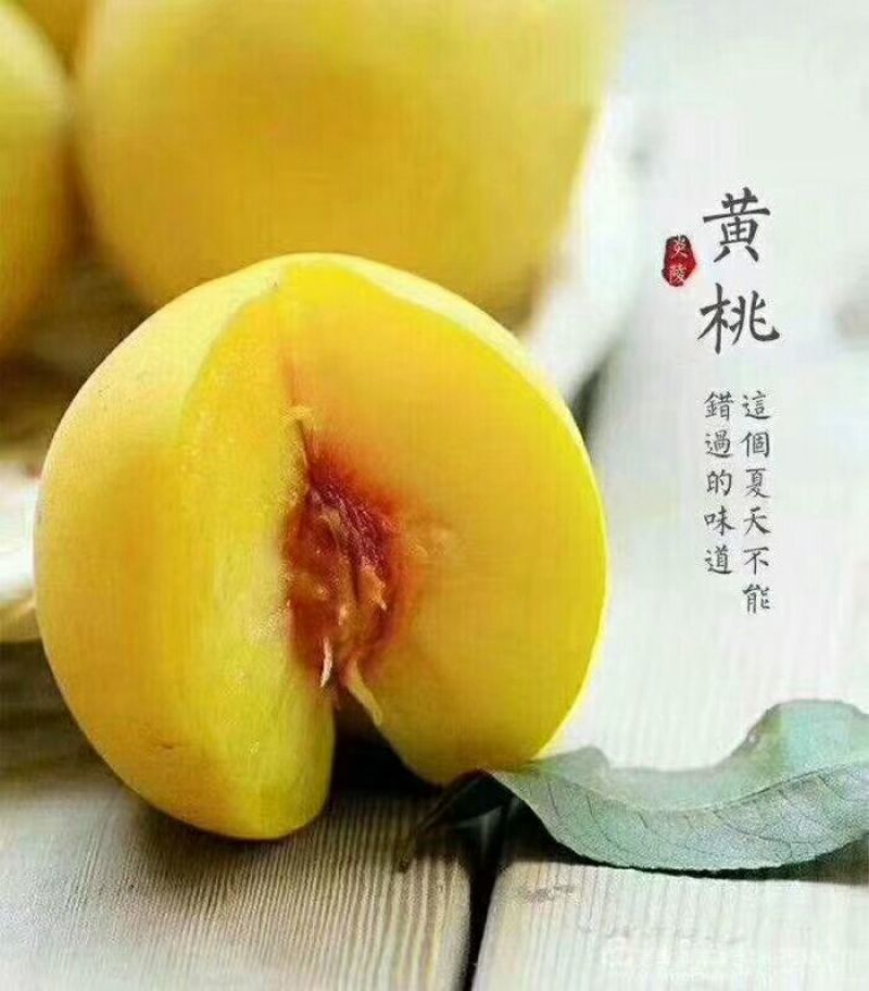 锦绣黄桃3~4两