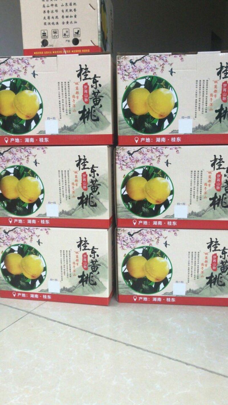 锦绣黄桃3~4两