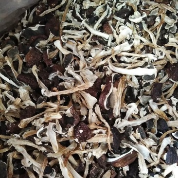 云南腾冲农家自种大球盖菇（赤松茸）干货