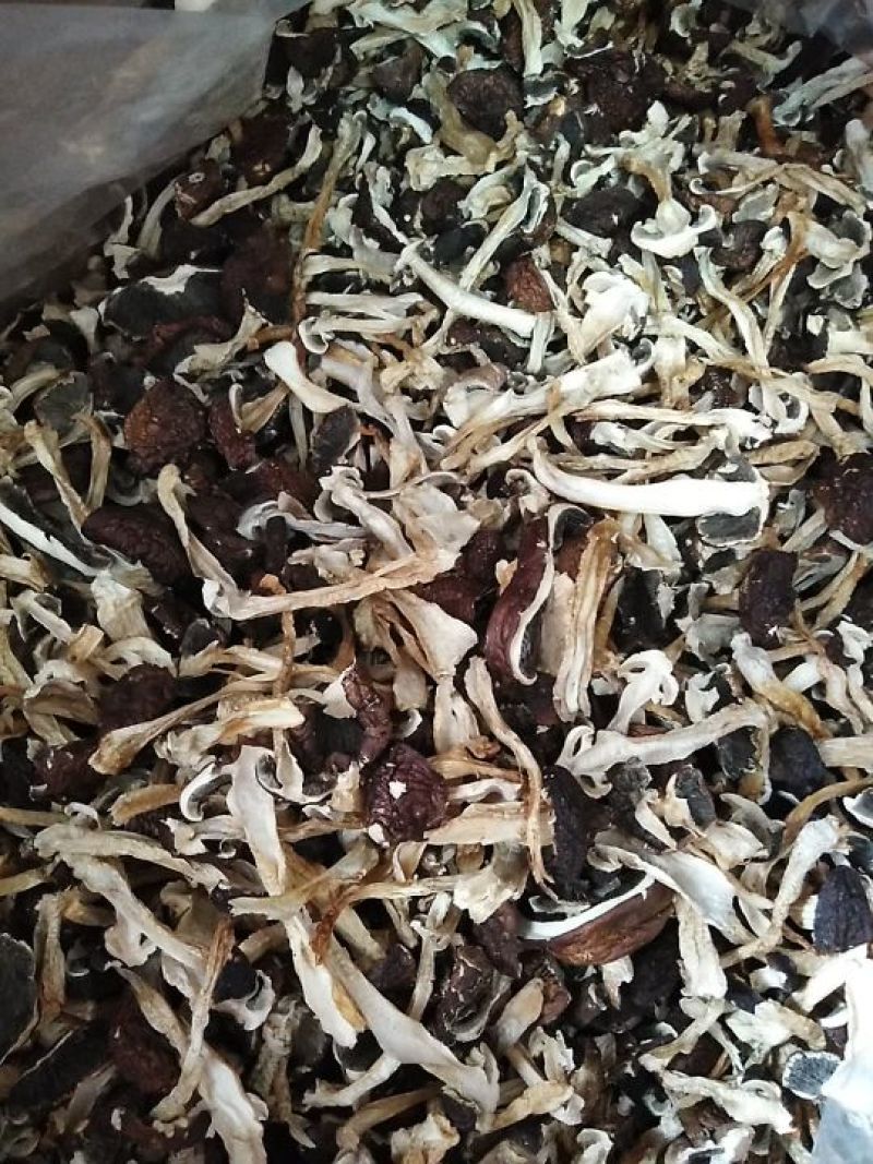 云南腾冲农家自种大球盖菇（赤松茸）干货