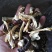 云南腾冲农家自种大球盖菇（赤松茸）干货