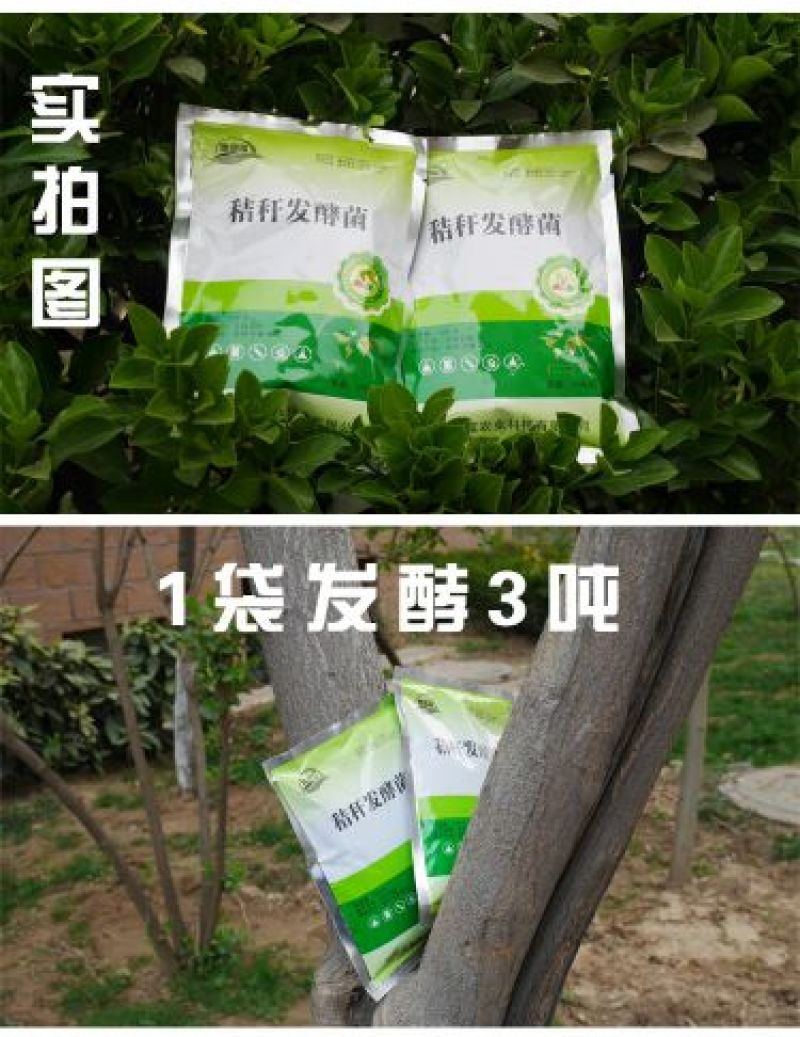 玉米秸秆发酵剂青储桔杆养牛黄贮发效剂发孝牧草养羊